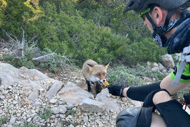 Alghero Ebike Tour In Porto Conte Park - FAQ