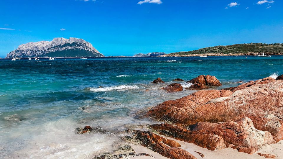 Alghero: Full-Day Sailing Excursion - Onboard Dining Experience
