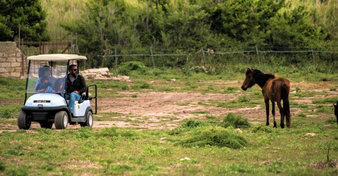 Alghero: Golf Car Hire in Porto Conte Natural Park - Key Points