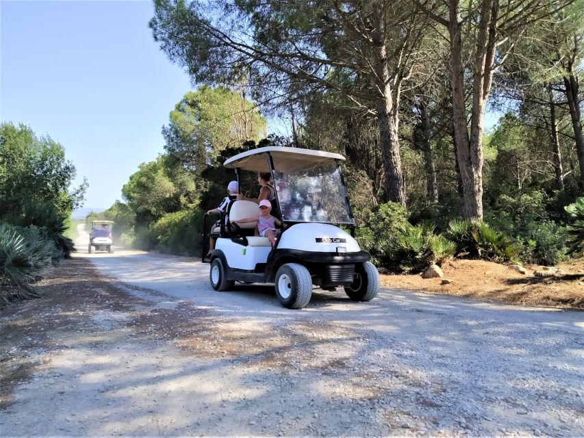 Alghero: Golf Car Hire in Porto Conte Natural Park - Important Visitor Information