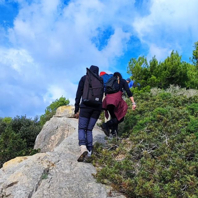 Alghero: Griffon Vulture Trek in Porto Conte Park - Key Points