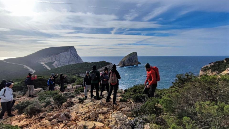 Alghero: Griffon Vulture Trek in Porto Conte Park - Frequently Asked Questions
