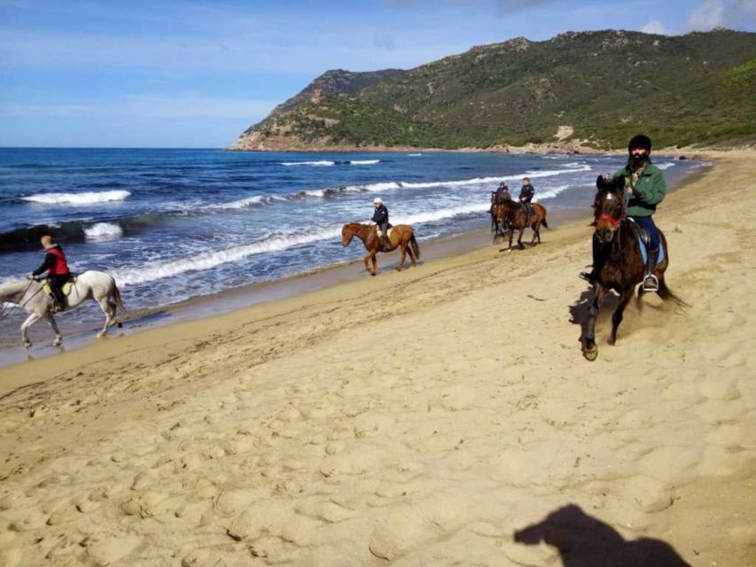 Alghero: Guided Horseback Ride at Lake Baratz & Porto Ferro - Key Points