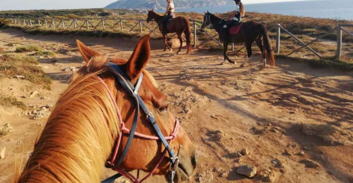 Alghero: Guided Horseback Ride at Lake Baratz & Porto Ferro - Experience Highlights