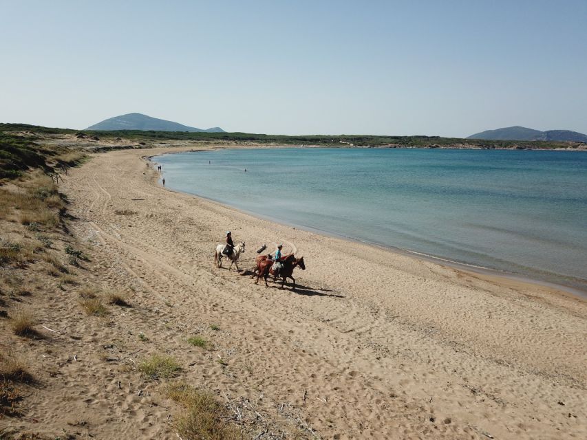Alghero: Guided Horseback Ride at Lake Baratz & Porto Ferro - Customer Reviews