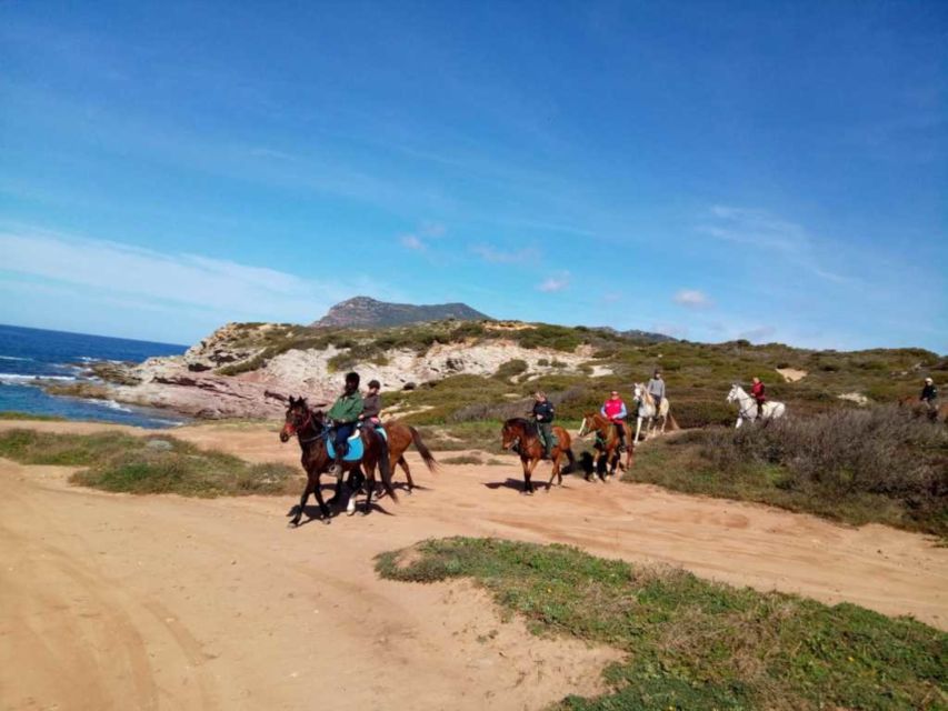 Alghero: Guided Horseback Ride at Lake Baratz & Porto Ferro - Booking and Availability