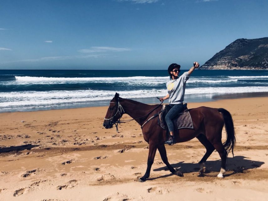 Alghero: Guided Horseback Ride at Lake Baratz & Porto Ferro - Frequently Asked Questions