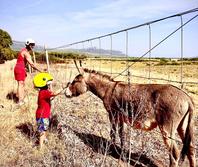 Alghero: Guided Quad Bike Tour With Swim Stop - Panoramic Views and Highlights