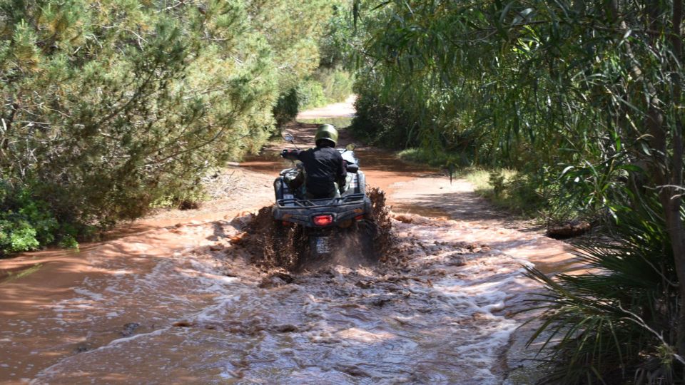 Alghero: Guided Quad Bike Tour With Swim Stop - Booking Information and Restrictions