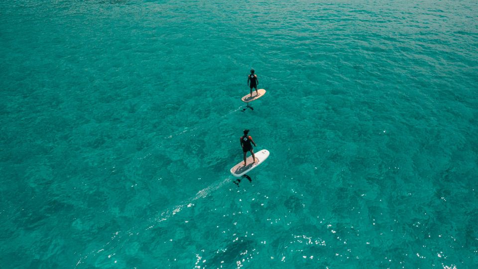 Alghero: Gulf of Alghero E-Surf Excursion - Recap