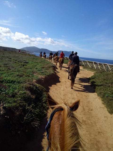 Alghero: horseback riding for experts in Lake Baratz - Key Points