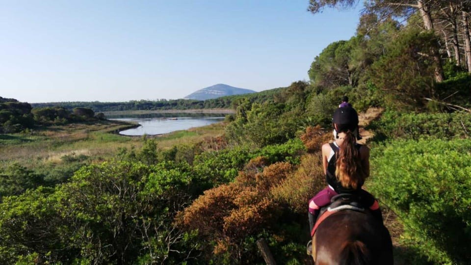 Alghero: horseback riding for experts in Lake Baratz - The Experience Provider: Escursì