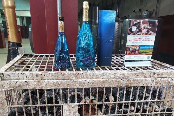 Alghero: private sightseeing & wine experience - The Wine and Archaeology Option