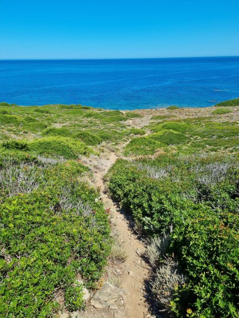 Alghero: Secret Beaches & Coastal tour by Land - Key Points