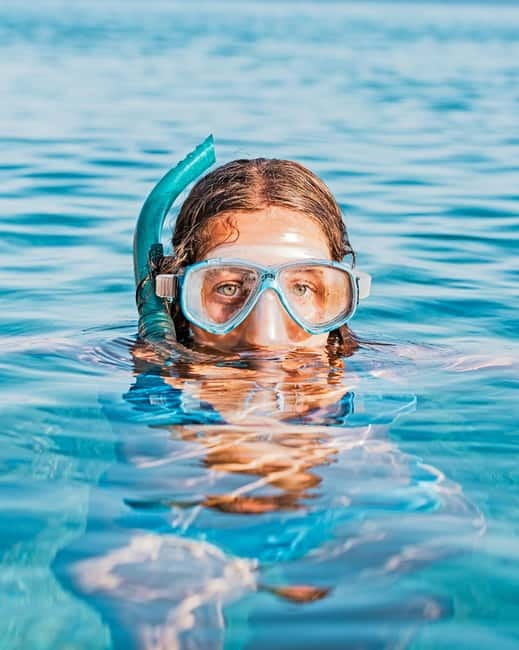 Alghero: Snorkeling tour for small groups with local guide - The Value of This Snorkeling Experience