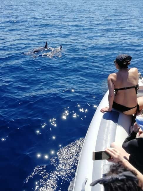 Alghero: Snorkeling tour for small groups with local guide - Who Should Consider This Tour?