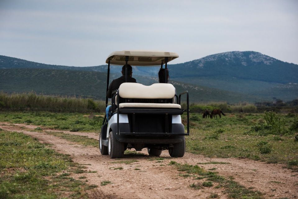 Alghero: Tour by Golf Cart in Porto Conte Park - Booking and Cancellation Policy