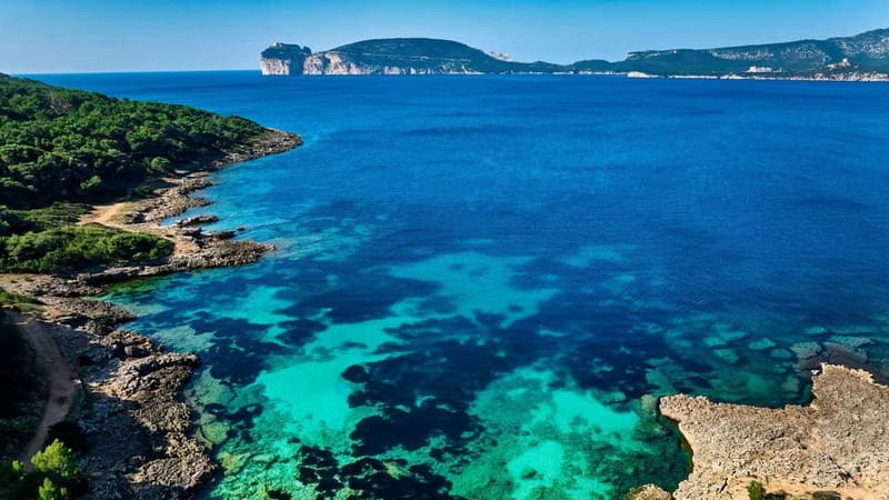 Alghero: Trekking and Snorkelling Tour in Porto Conte Park - Key Points