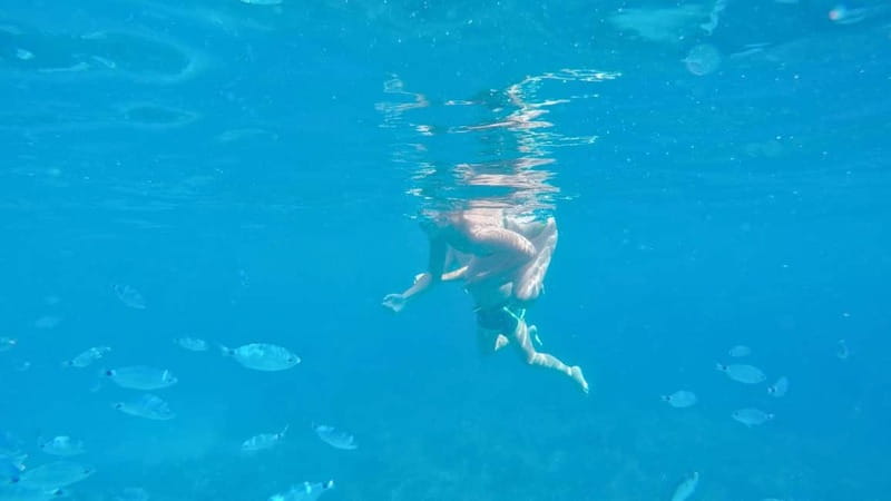 Alghero: Trekking and Snorkelling Tour in Porto Conte Park - FAQ