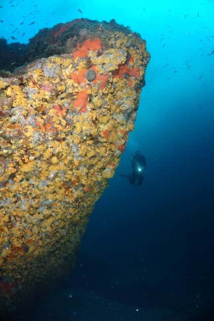 Alghero: Try dive. Scuba diving for beginners. - FAQ