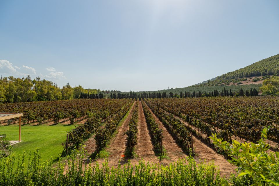 Alghero: Wine and Olive Oil Tasting at a Local Farm - Accessibility Information