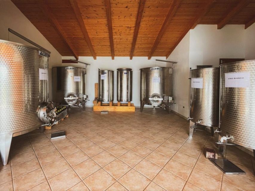 Alghero: Wine Tasting W/ Local Aperitif in the Vineyard - Vineyard Location and Features