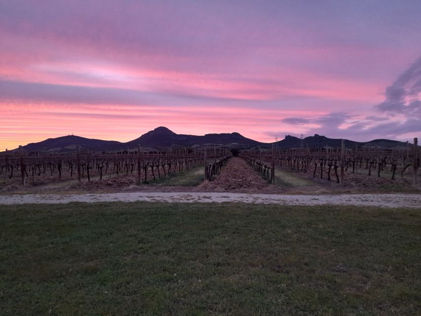Alghero: Wine Tasting W/ Local Aperitif in the Vineyard - Wine Varieties Explored