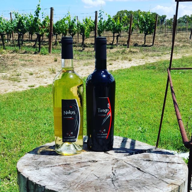 Alghero: Wine Tasting W/ Local Aperitif in the Vineyard - Booking and Cancellation Policy