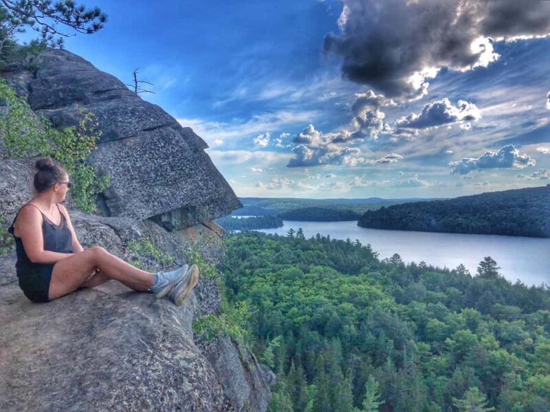 Algonquin Park: Adventure Tour from Toronto - What the Reviews Say