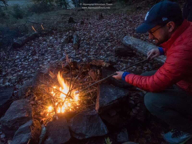 Algonquin Park: Canoe Camping Safari - Who Will Love This Tour?