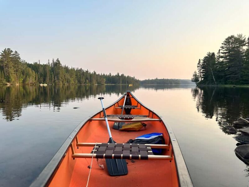 Algonquin Park Day Tour: Canoeing Adventure - Final Thoughts: Who Is This Tour For?
