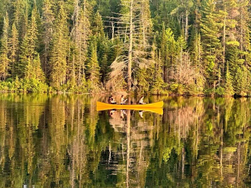 Algonquin Park Day Tour: Canoeing Adventure - FAQ