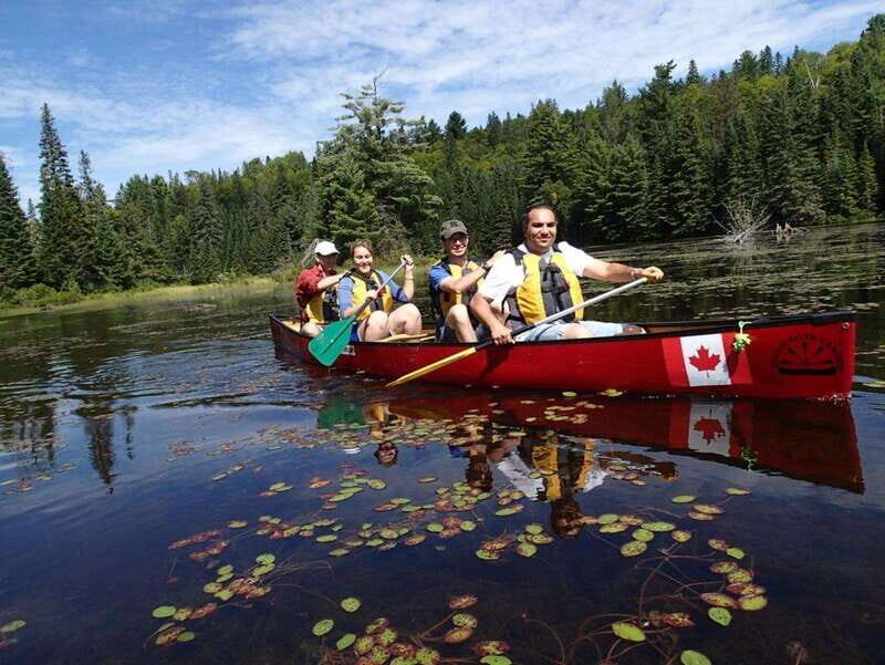 Algonquin Park: Guided Canoe Day Tour - Key Points