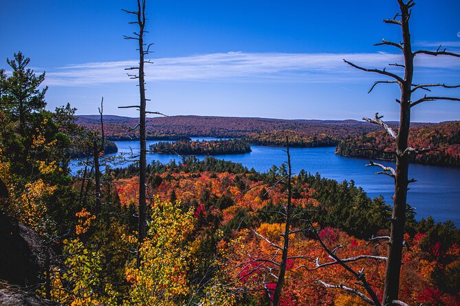 Algonquin Provincial Park Full Day Trip - Good To Know
