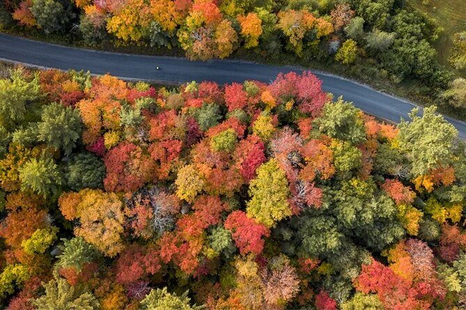 Algonquin Shuttle from Toronto - Key Points