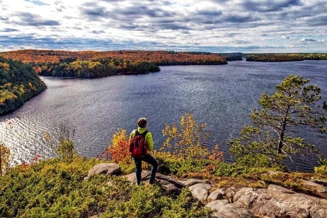 Algonquin Shuttle from Toronto - Authentic Experiences and Traveler Feedback