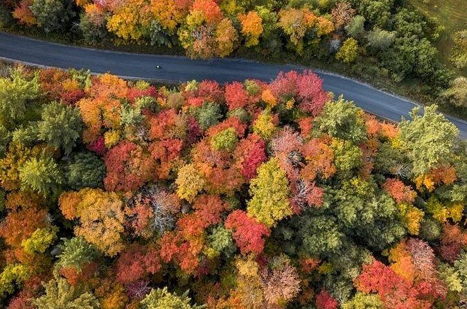 Algonquin Shuttle from Toronto - Pricing and Value