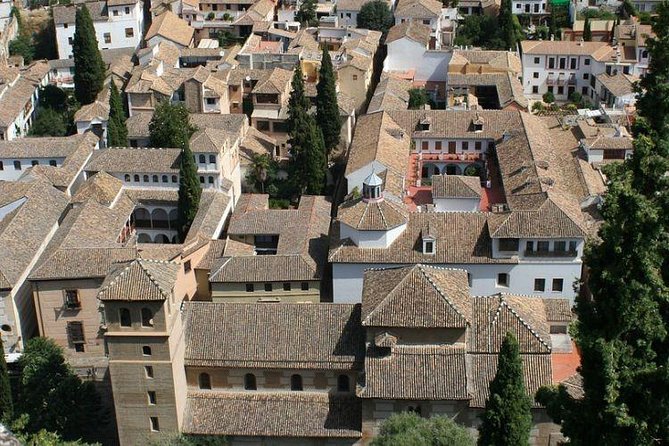 Alhambra and Albaycin Private Tour - Accessibility and Additional Info