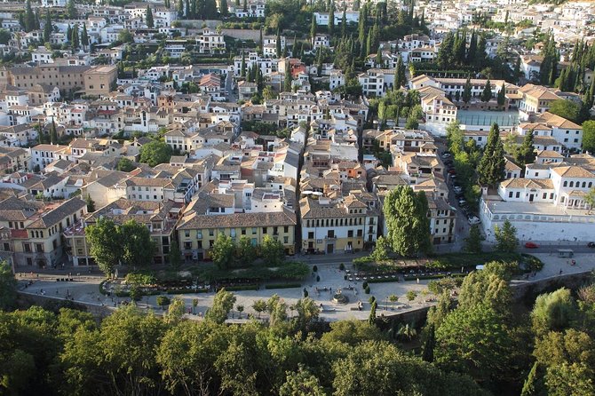 Alhambra & Generalife: Exclusive 3-Hour Private Tour With Tickets Included - Specialized Official Guide