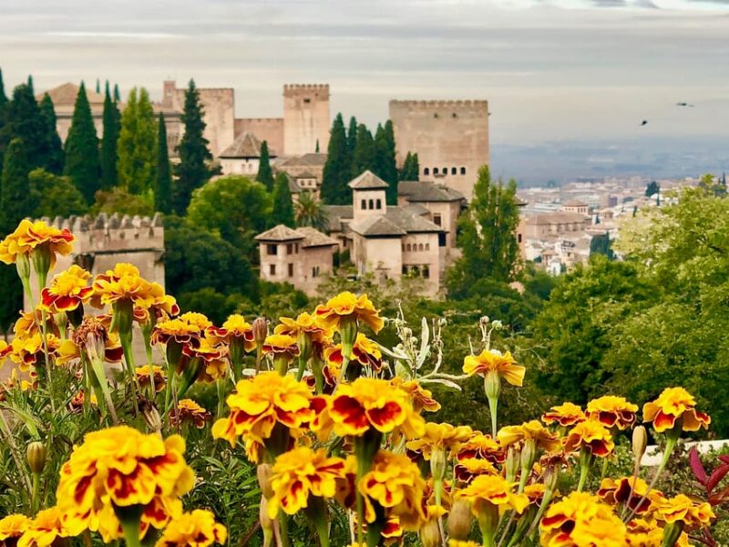 Alhambra: Guided Tour With Fast-Track Entry - Tour Highlights and Features