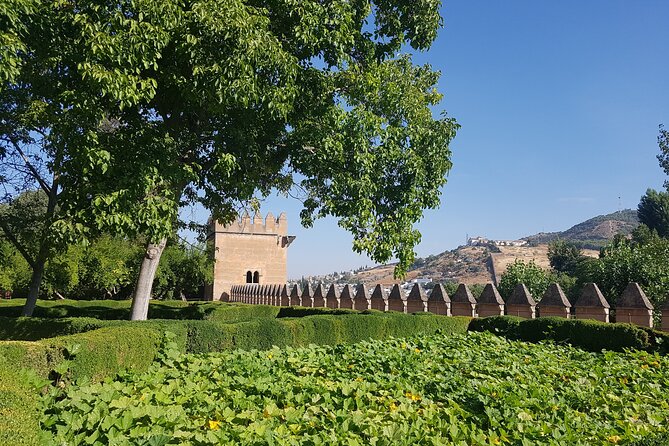 Alhambra Private Guide, (If You Have Your Alhambra Entrance) - Pricing and Inclusions