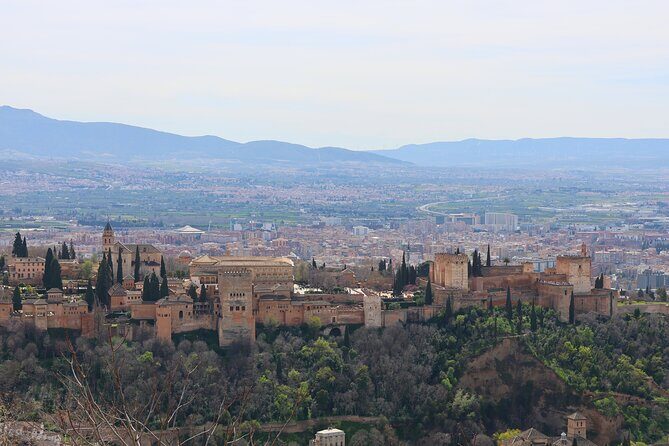 Alhambra Private Tour with tickets - Key Points