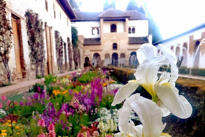 Alhambra Private Tour with Tickets to the Nasrid Palaces - Who Should Consider This Tour?