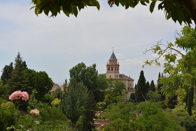 Alhambra Skip-the-Line Guided Tour - Reviews Summary