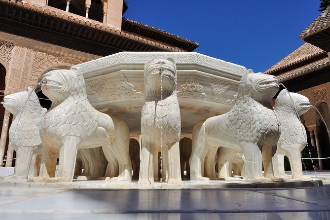 Alhambra Skip-The-Line Private Tour Including Nasrid Palaces - Tour Experience