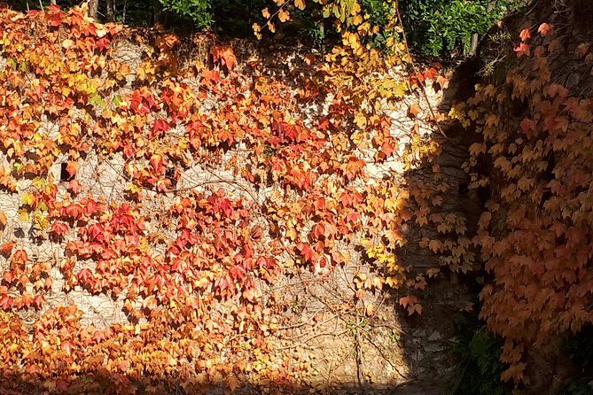 Alhambra Sultan Gardens ,Palaces and towers .Skip the line - The Value of the Tour