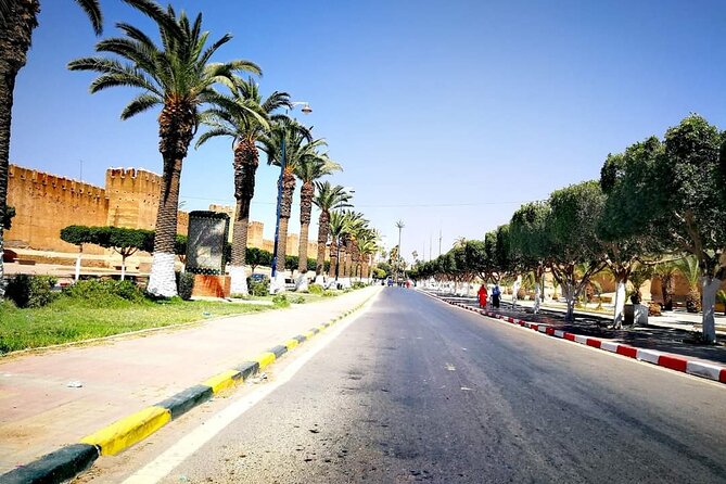 Ali Baba Oasis And The Old Medina Of Taroudant Private Day Tour - Exploring Taroudants Old Medina