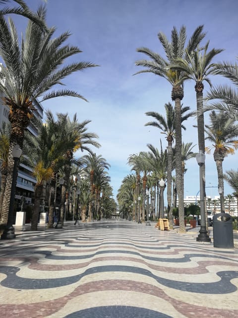 Alicante 360º Semi-Private Tour City, Culture, Tapas & Drink - Culinary Delights