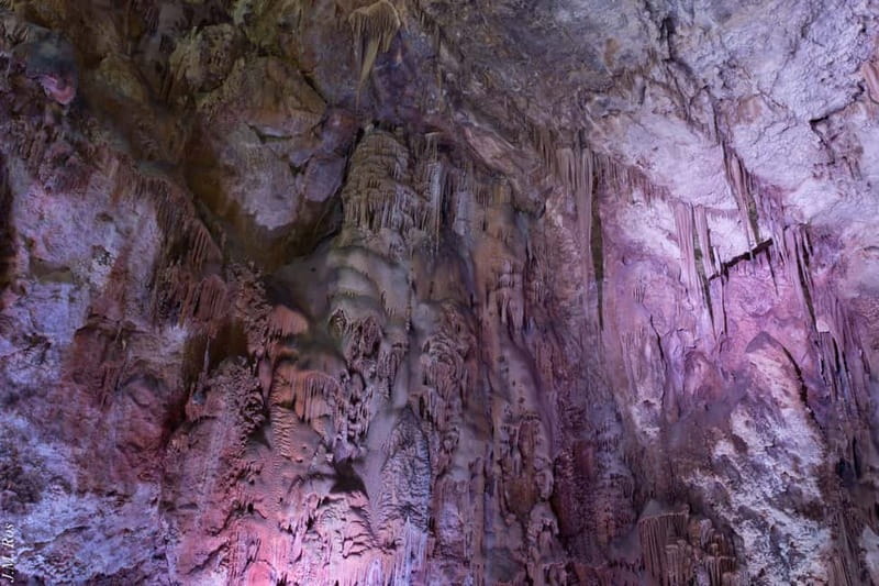 Alicante: Canelobre Caves & Busot Tour with Local Guide - Experience Provider