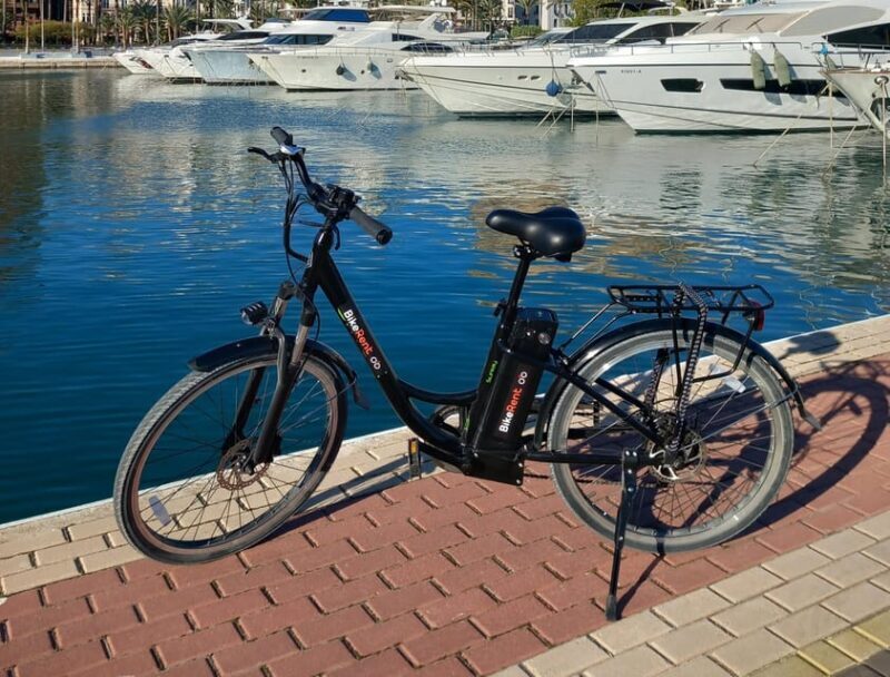 Alicante City Bike Tour - Who Is This Tour Best For?